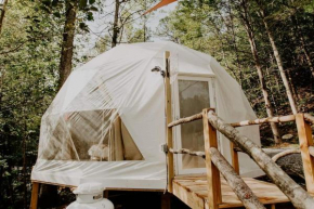Whispering Waters Dome Getaway